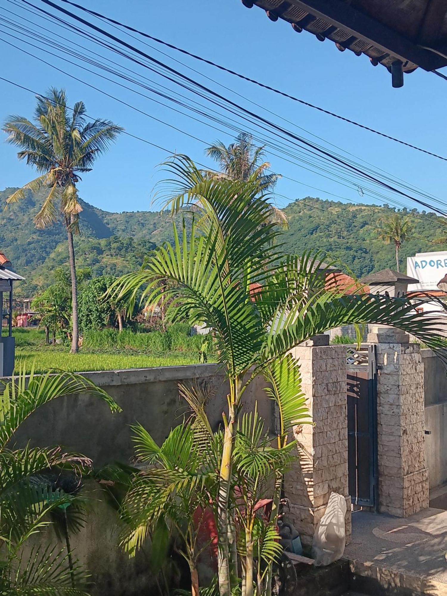 Adore Guesthouse อาเม็ด ห้อง รูปภาพ